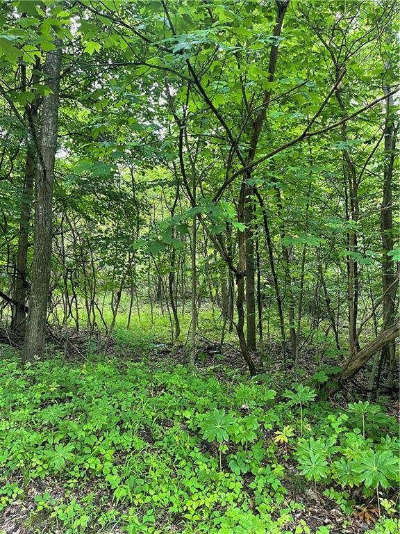0 Farrell Road Sandy Lake, PA 16145 - Photo 5 of 9 Gallery Image 5