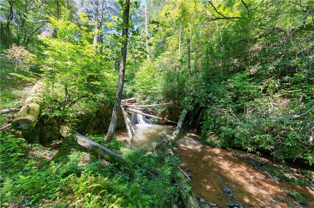 200 Bahn Innsbruck Helen, GA 30545 - Photo 22 of 27 a view of an outdoor space and a yard