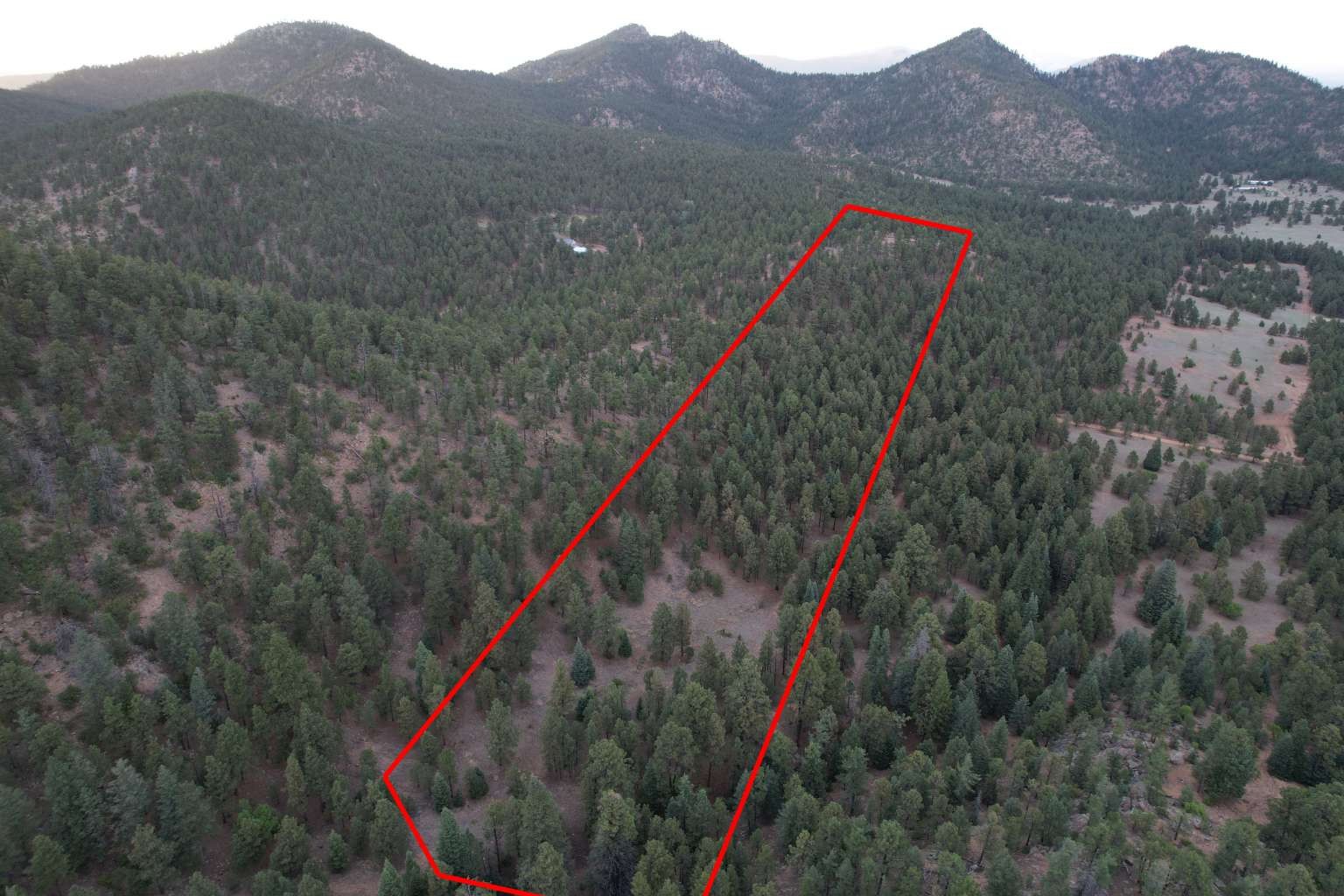 0 A015 County Road Mora, NM 87732 - Photo 1 of 40