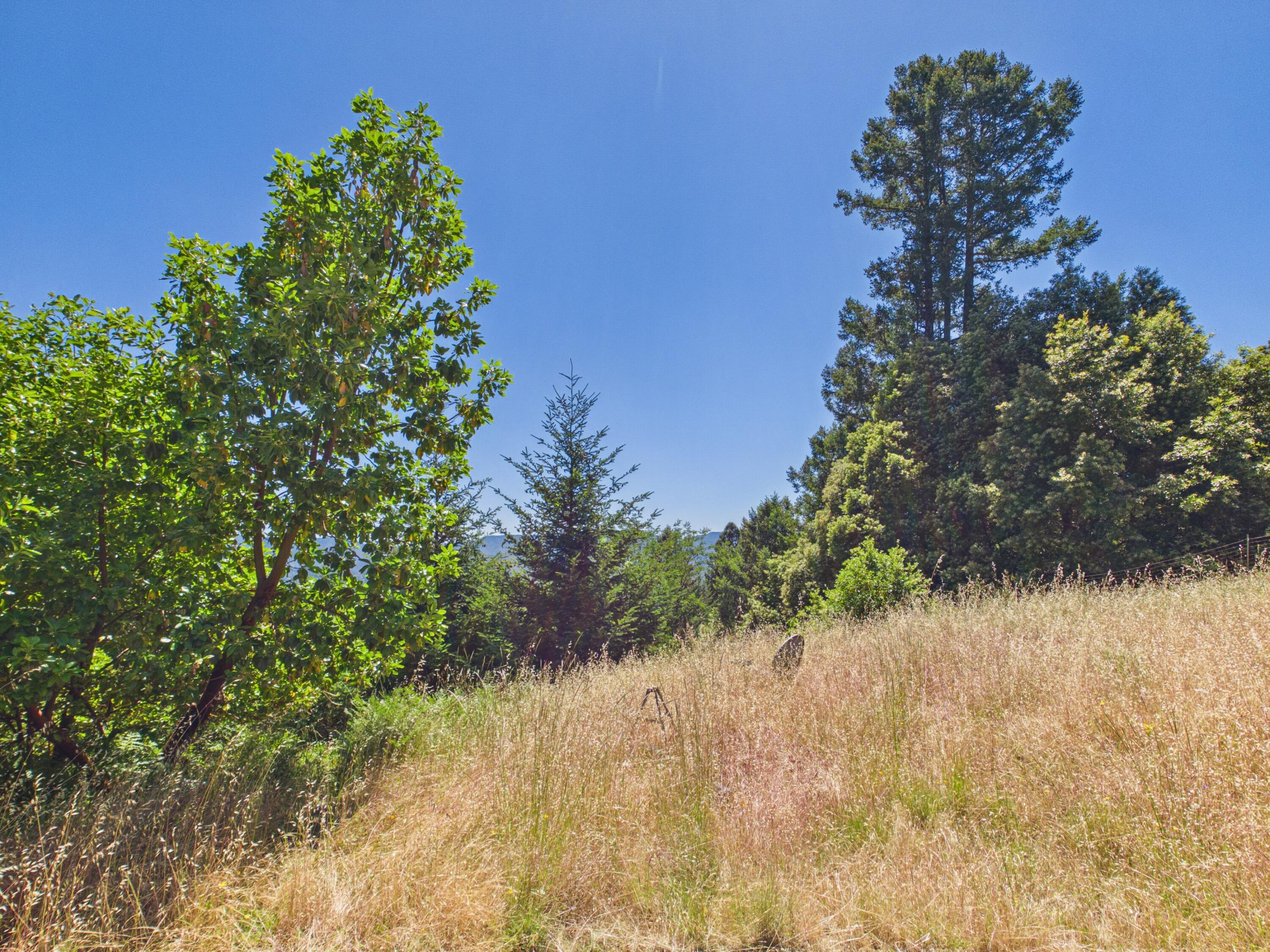 4840 Doody Ridge Road Garberville, CA 95542 - Photo 57 of 80