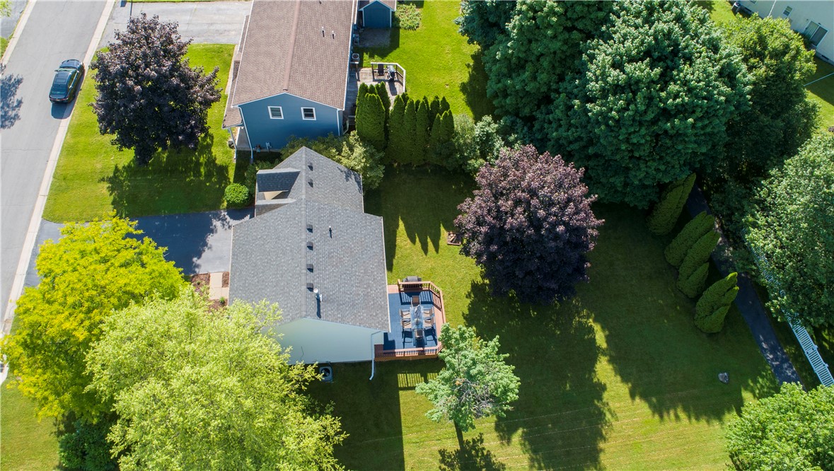 11 MacKay Run Henrietta, NY 14586 - Photo 5 of 46