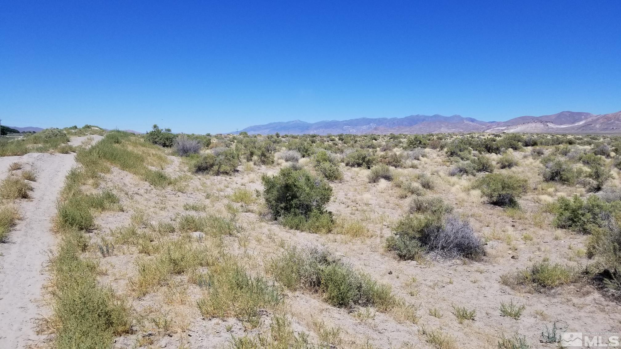 0 Airport Road Lovelock, NV 89419 - Photo 5 of 10 a view of a large tree with a mountain in the background