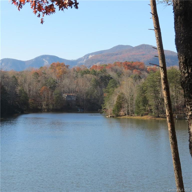 0 Starling Road Lake Lure, NC 28746 - Photo 10 of 15 a view of a mountain