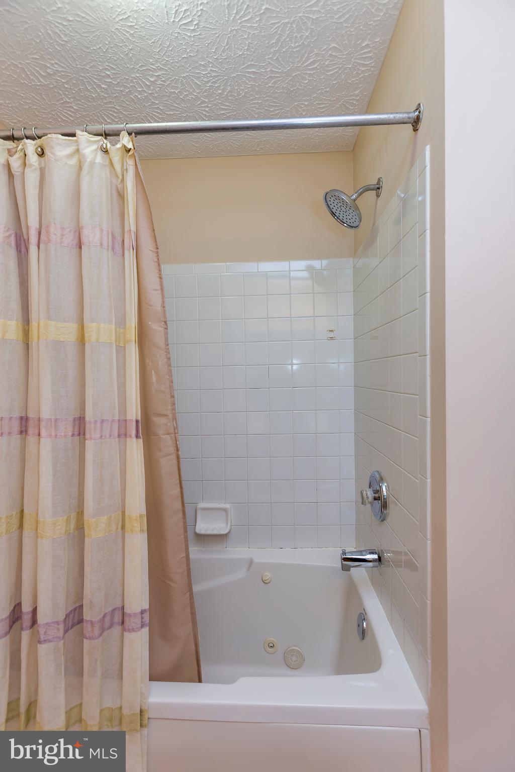 4888 Shellbark Road Owings Mills, MD 21117 - Photo 20 of 23 Whirlpool tub in master bath