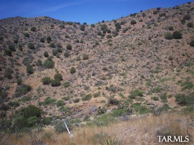 0 Sidewinder Road Willcox, AZ 85643 - Photo 3 of 5