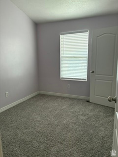 7936 Wycliffe Way Eagle Mountain, UT 84005 - Photo 31 of 37 Room featuring purple-toned walls, gray-flecked carpeting, white trim, and a window with horizontal blinds