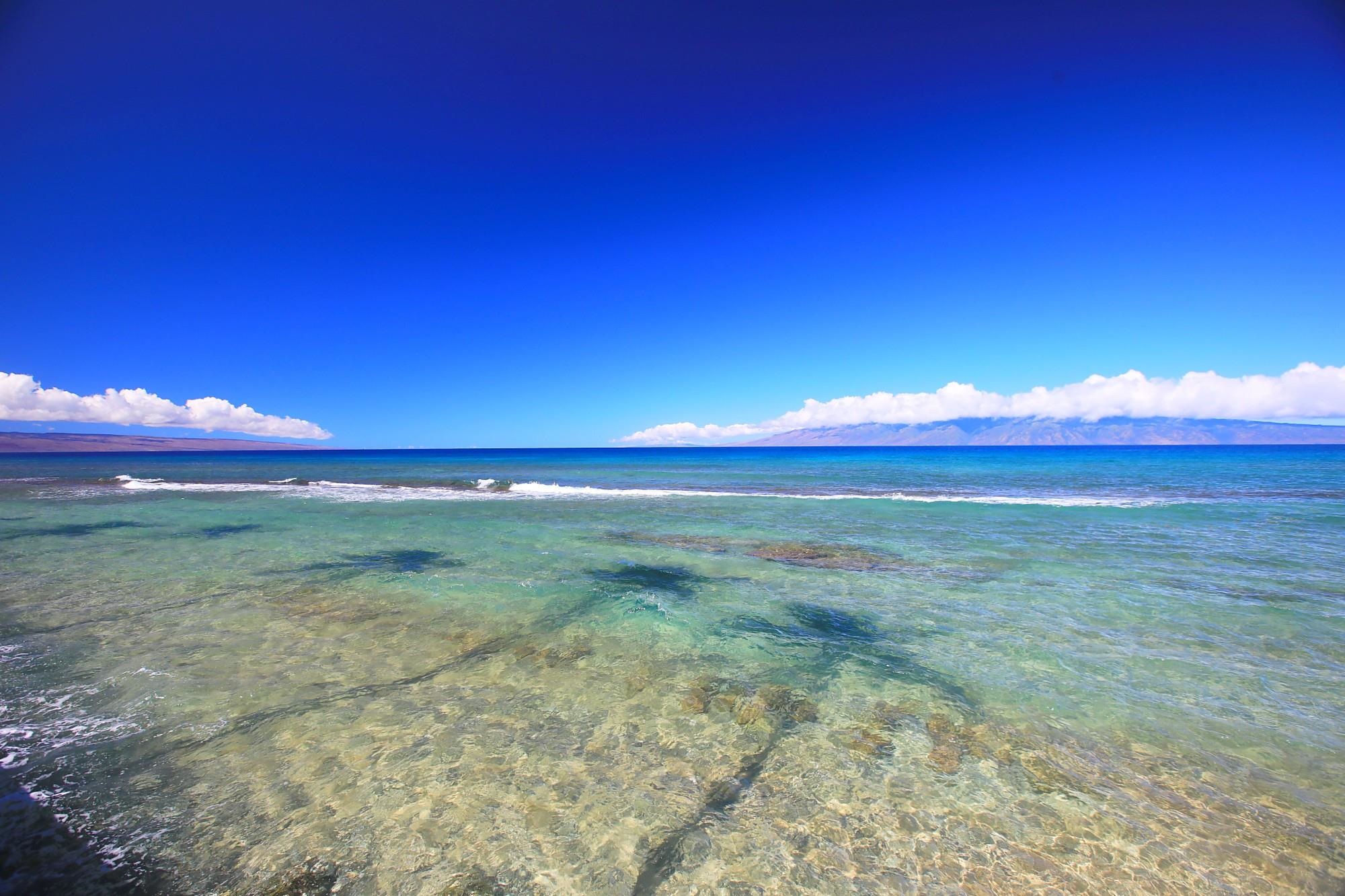 3543 Lower Honoapiilani Road, Unit C107 Lahaina, HI 96761 - Photo 1 of 49 a view of a yard and a red house