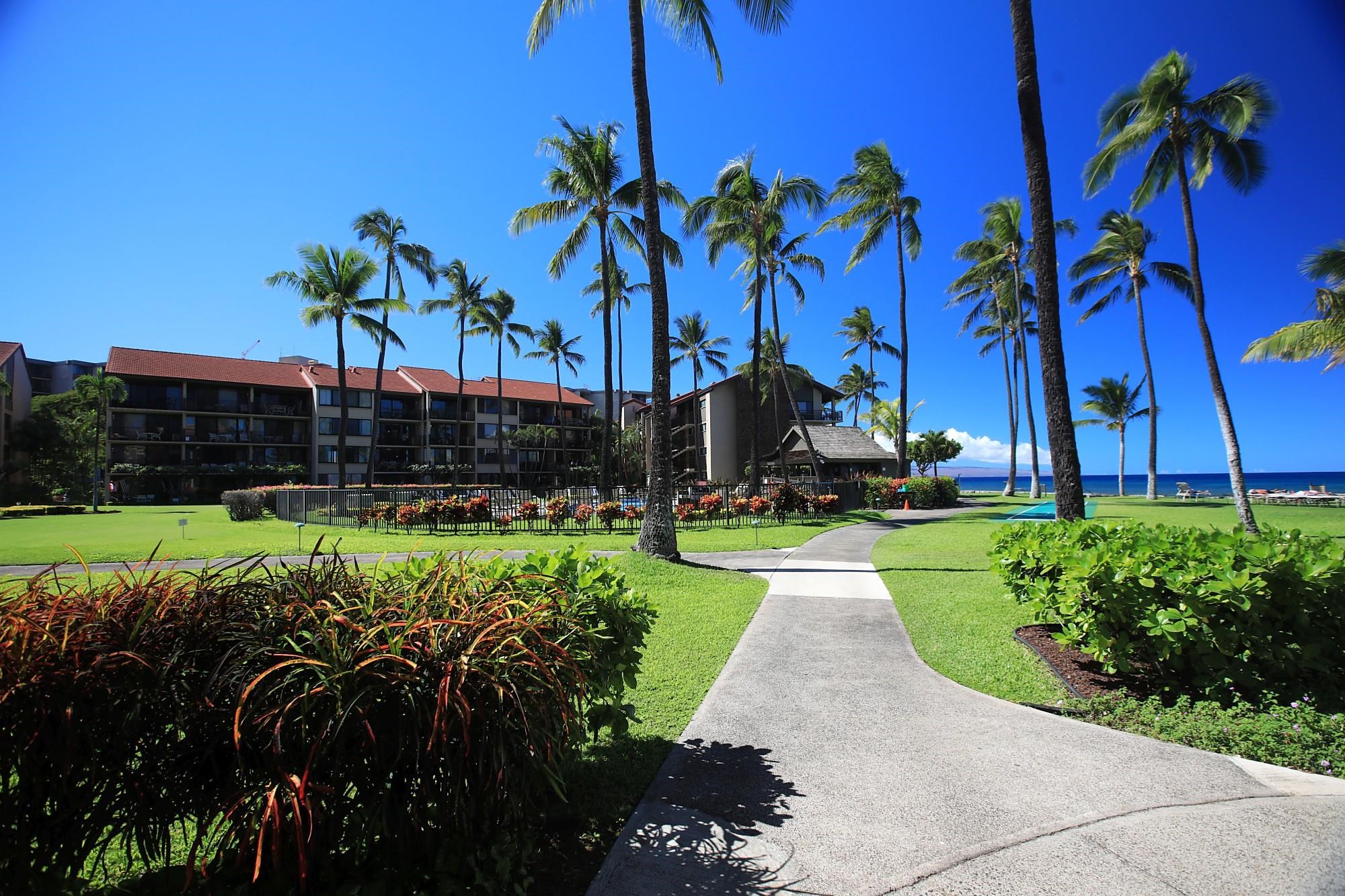3543 Lower Honoapiilani Road, Unit C107 Lahaina, HI 96761 - Photo 42 of 49 a view of a park with palm trees