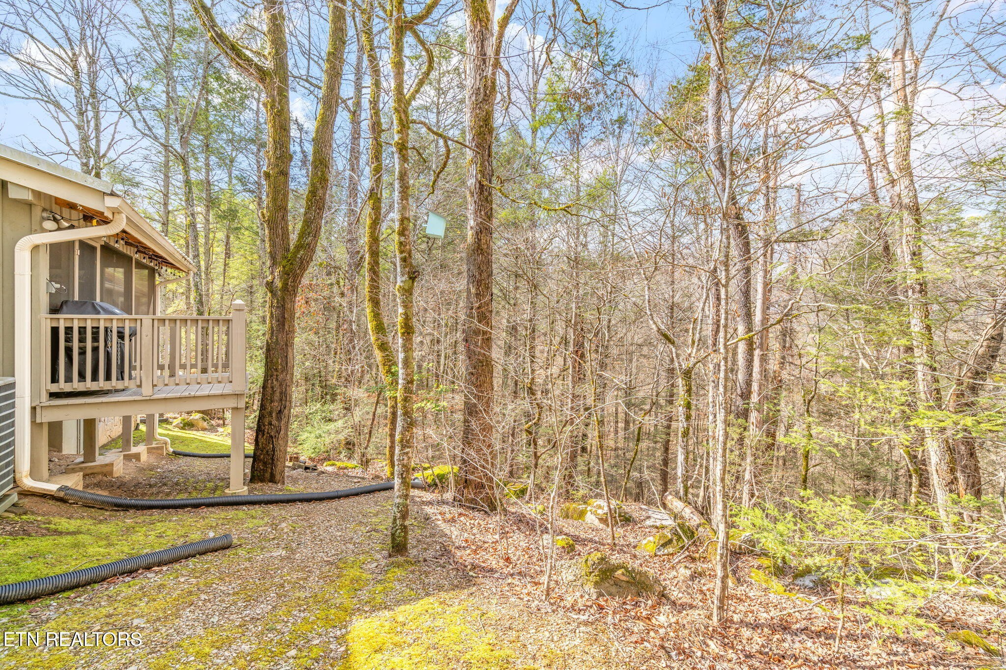 151 Sequoyah Village Road Townsend, TN 37882 - Photo 6 of 60