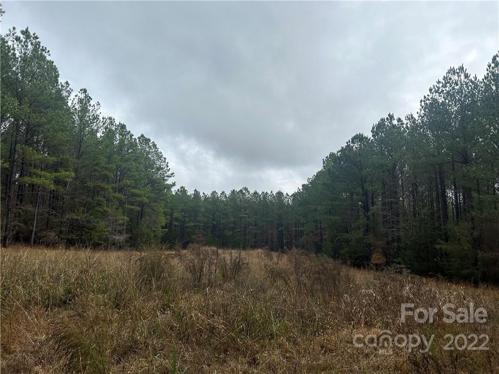 700-799 Armory Road Chester, SC 29706 - Photo 6 of 29 a view of a backyard