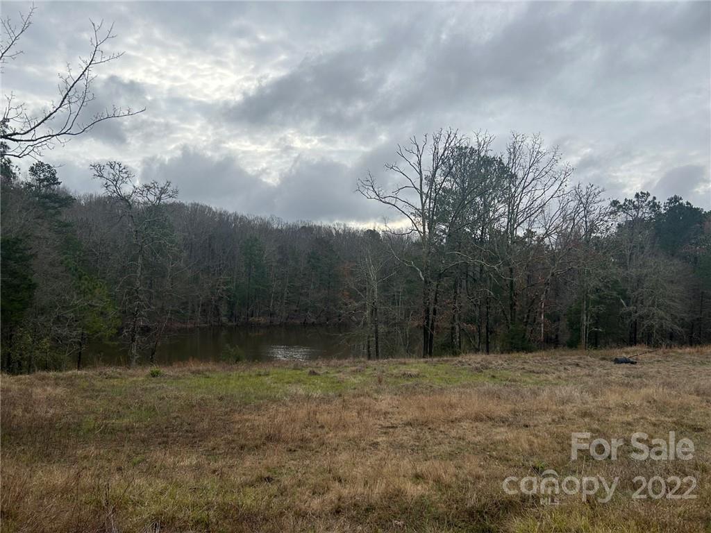 700-799 Armory Road Chester, SC 29706 - Photo 9 of 29 a view of a backyard