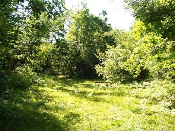 Lot 53 Nutter Road Effingham, NH 03882 - Photo 1 of 4