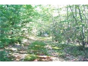 Lot 53 Nutter Road Effingham, NH 03882 - Photo 3 of 4