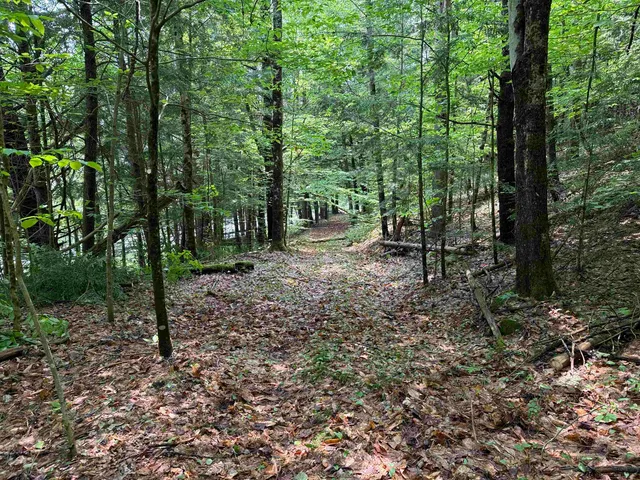 $125,000 | 0 New Hampshire Route 120, Cornish, NH 03745