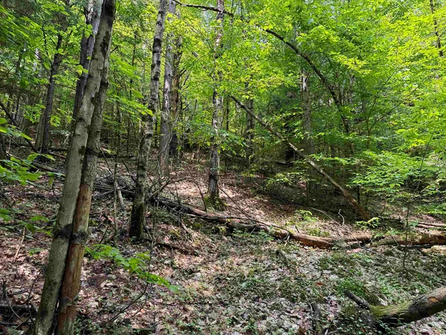 $125,000 | 0 New Hampshire Route 120, Cornish, NH 03745