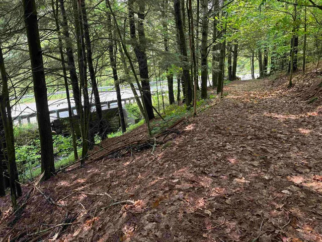 $125,000 | 0 New Hampshire Route 120, Cornish, NH 03745