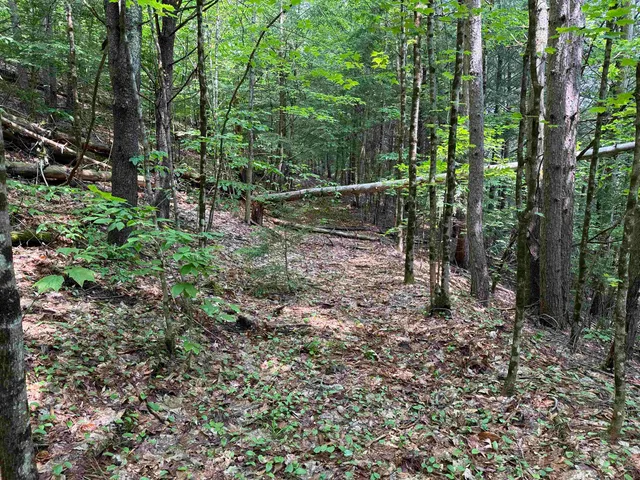 $125,000 | 0 New Hampshire Route 120, Cornish, NH 03745