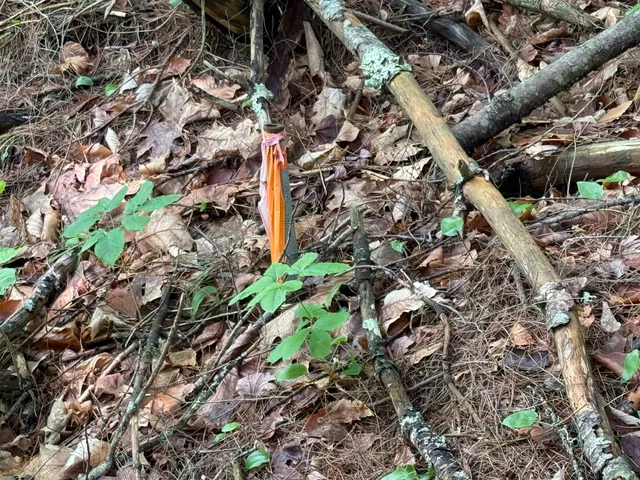 $125,000 | 0 New Hampshire Route 120, Cornish, NH 03745