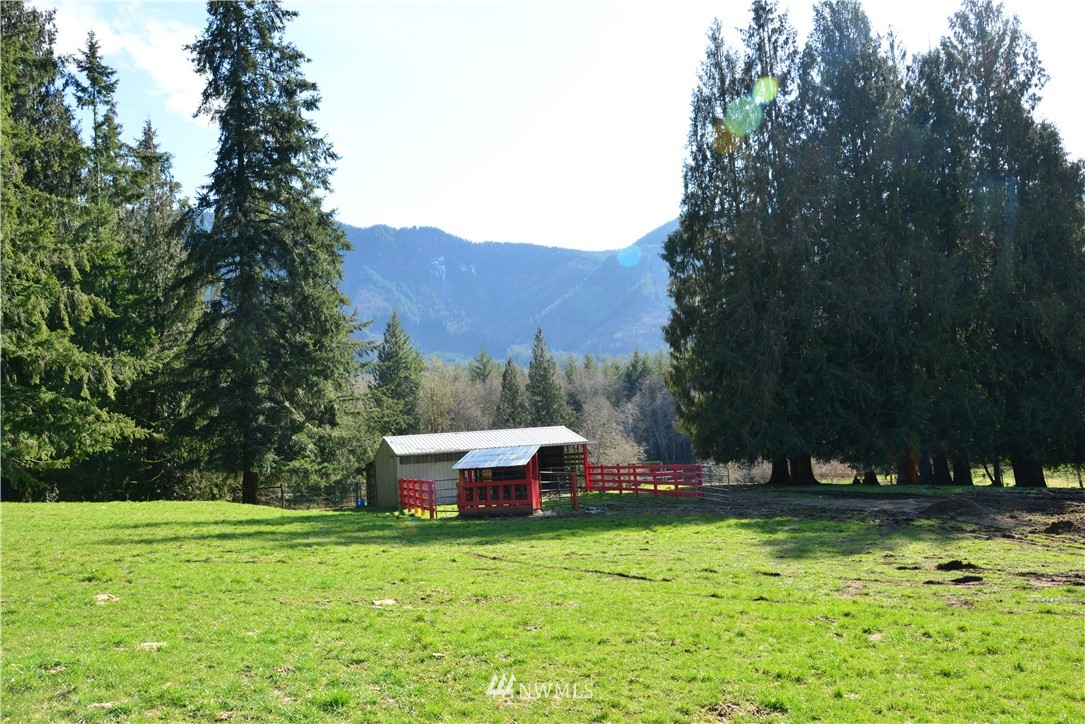 1011-55 Peters Road Randle, WA 98377 - Photo 31 of 40 Gallery Image 31