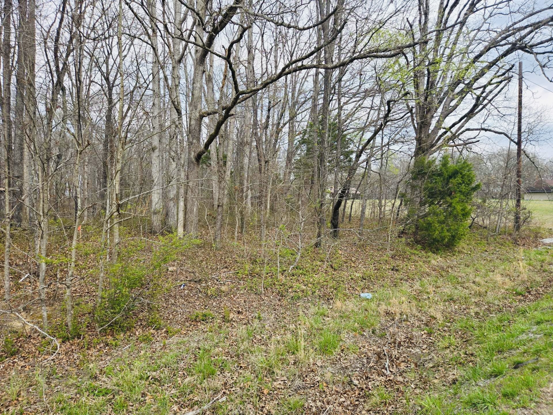 0 Highway 49 Tennessee Ridge Tennessee Ridge, TN 37178 - Photo 2 of 5 Gallery Image 2