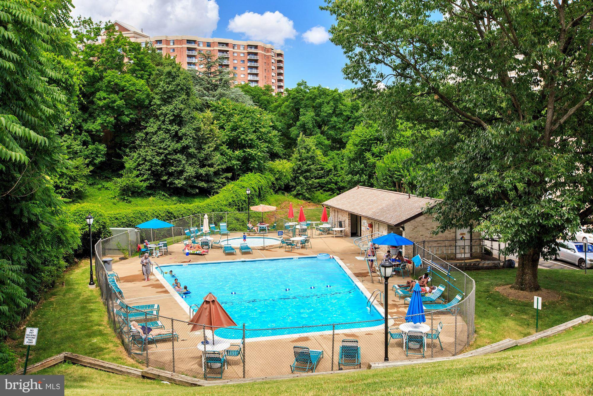 6153 Edsall Road, Unit J Alexandria, VA 22304 - Photo 16 of 17 Community Pool