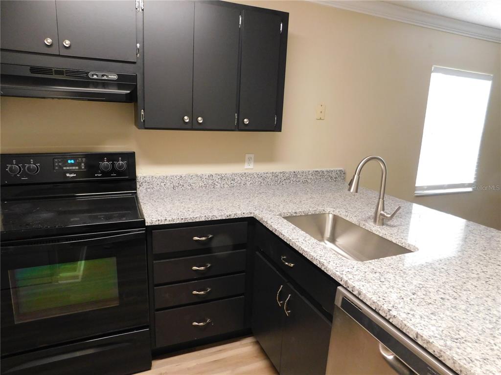 1628 Baker Road Lutz, FL 33559 - Photo 18 of 45 Gallery Image 18
