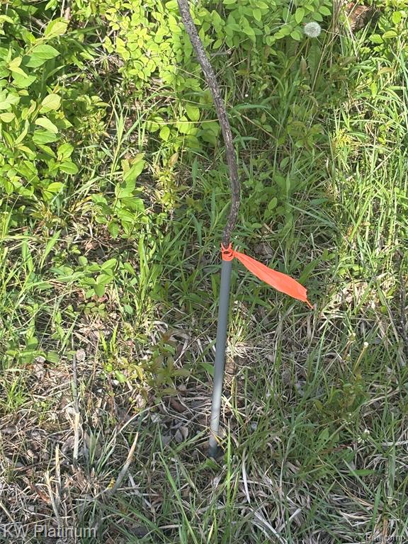0 North Road Fort Gratiot, MI 48059 - Photo 2 of 18