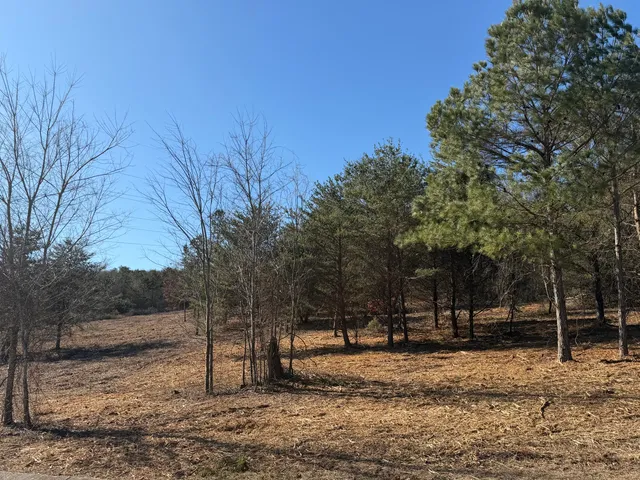 $119,900 | 0 Majestic Heights, Ringgold, GA 30736