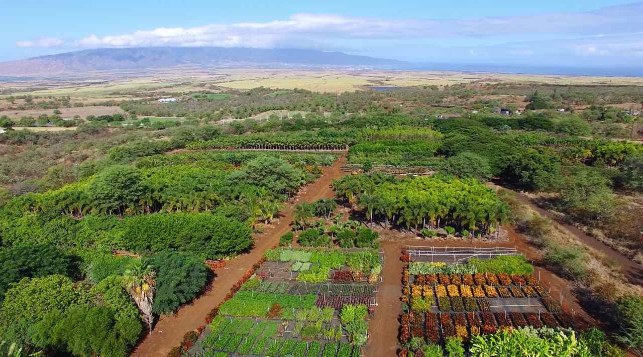 3361 Omaopio Road Kula, HI 96790 - Photo 5 of 5 a view of a city with mountains in the background