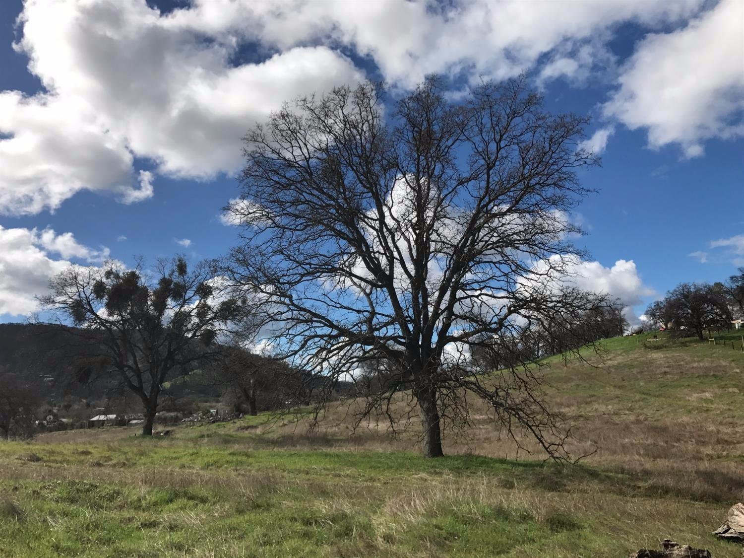 0 Burrough North Road Tollhouse, CA 93667 - Photo 2 of 4 Gallery Image 2