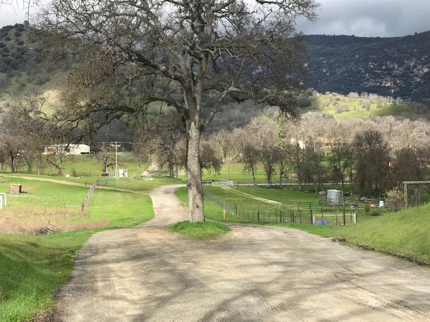 0 Burrough North Road Tollhouse, CA 93667 - Photo 4 of 4 Gallery Image 4