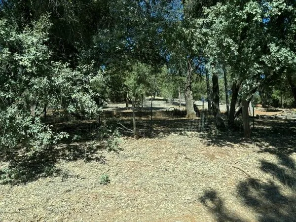 a view of backyard with trees