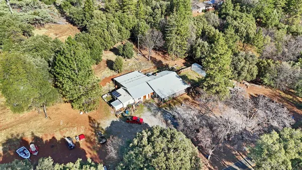 a view of a city with lush green forest