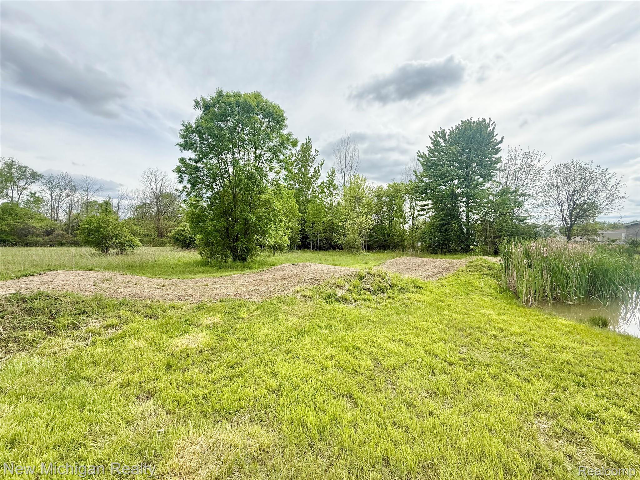 5288 Torrey Road Flint, MI 48507 - Photo 41 of 41 Expansive green space featuring a natural pond with cattails, mature trees, and a cleared path
