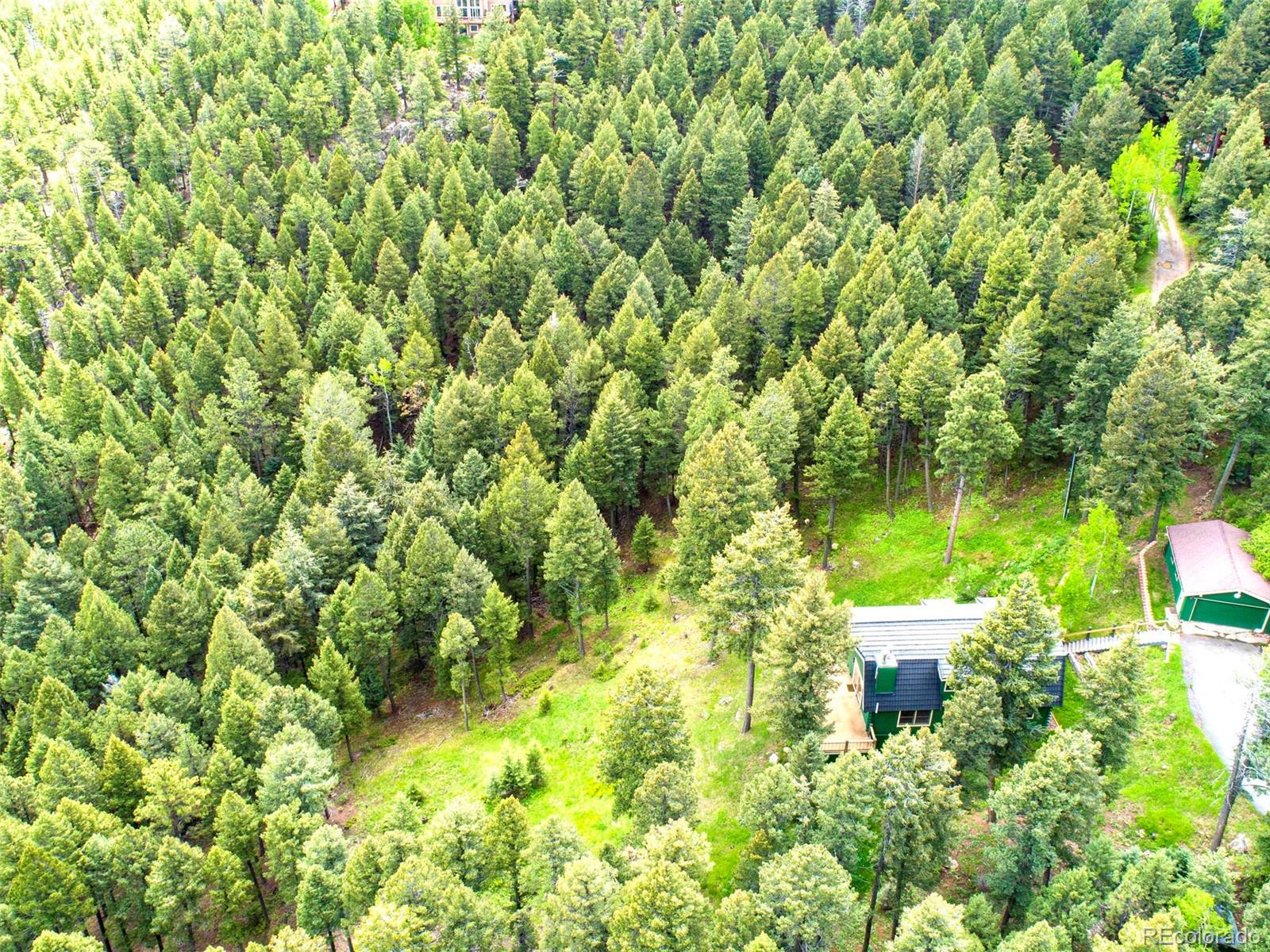 25633 Independence Trail Evergreen, CO 80439 - Photo 36 of 39 a view of a garden with plants