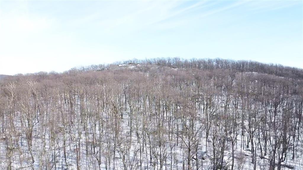 235 Pine Knob Road Hopwood, PA 15445 - Photo 37 of 39