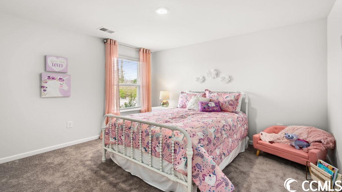 9178 Fort Hill Way Myrtle Beach, SC 29579 - Photo 12 of 33