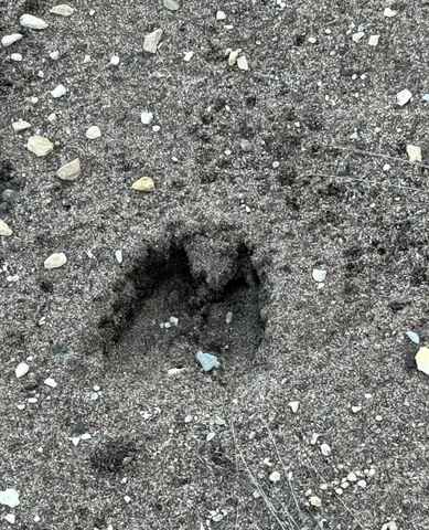 $250,000 | A-1306 31st Street, Hanover, IL 61041