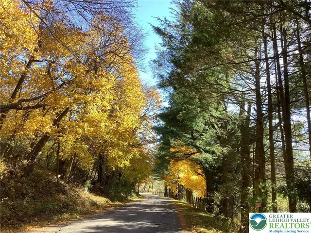 a view of a yard with plants and trees