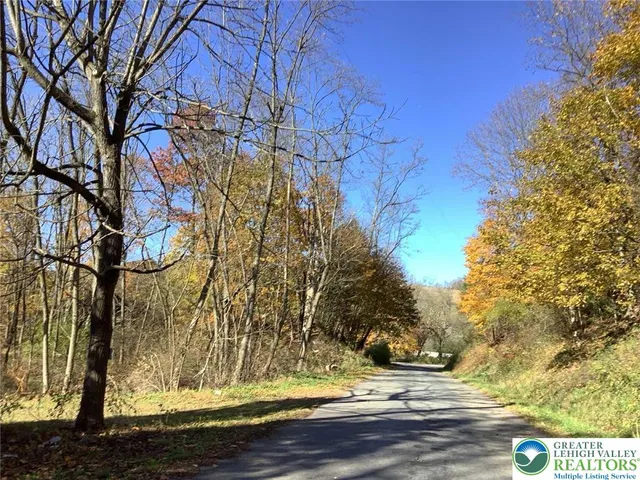 a view of yard with tree