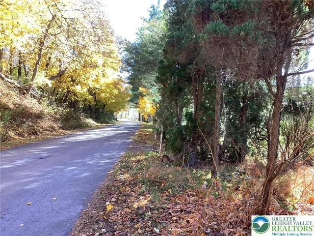a view of yard with trees