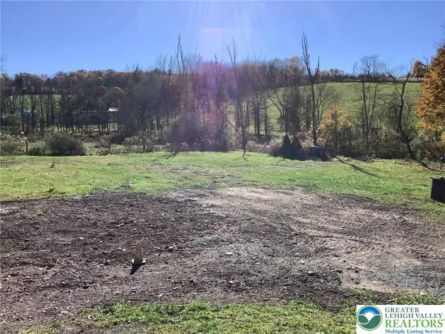 a view of a backyard with green space
