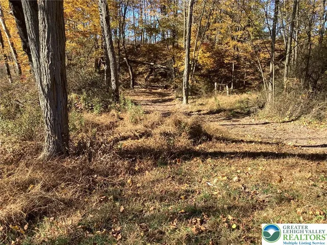 a view of a yard with wooden fence
