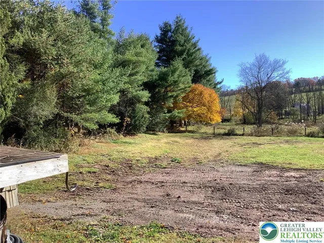 a view of a yard with an trees