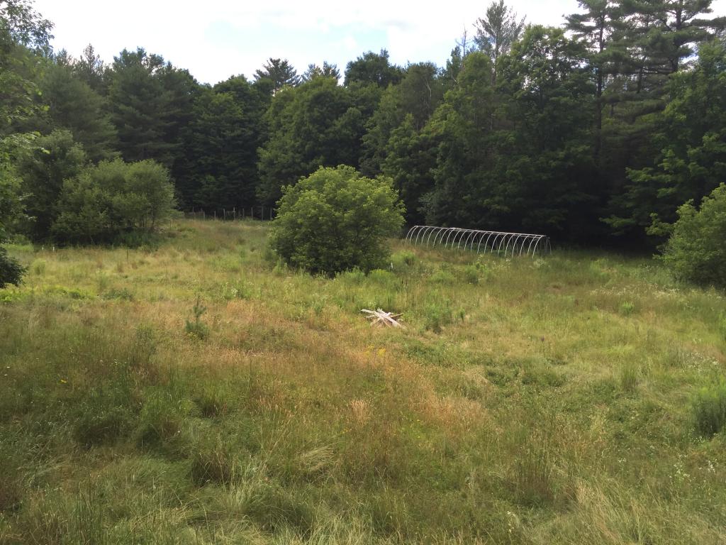 295 County Road Haverhill, NH 03774 - Photo 2 of 8