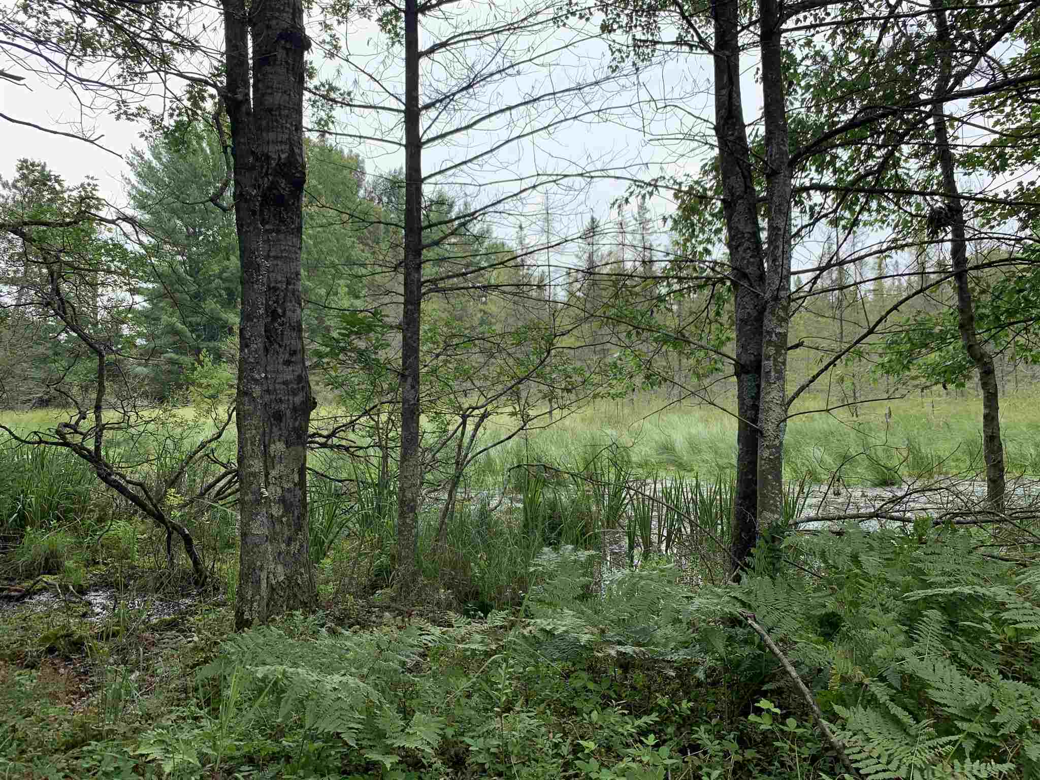 178375 Mission Lake Road Eland, WI 54427 - Photo 8 of 21
