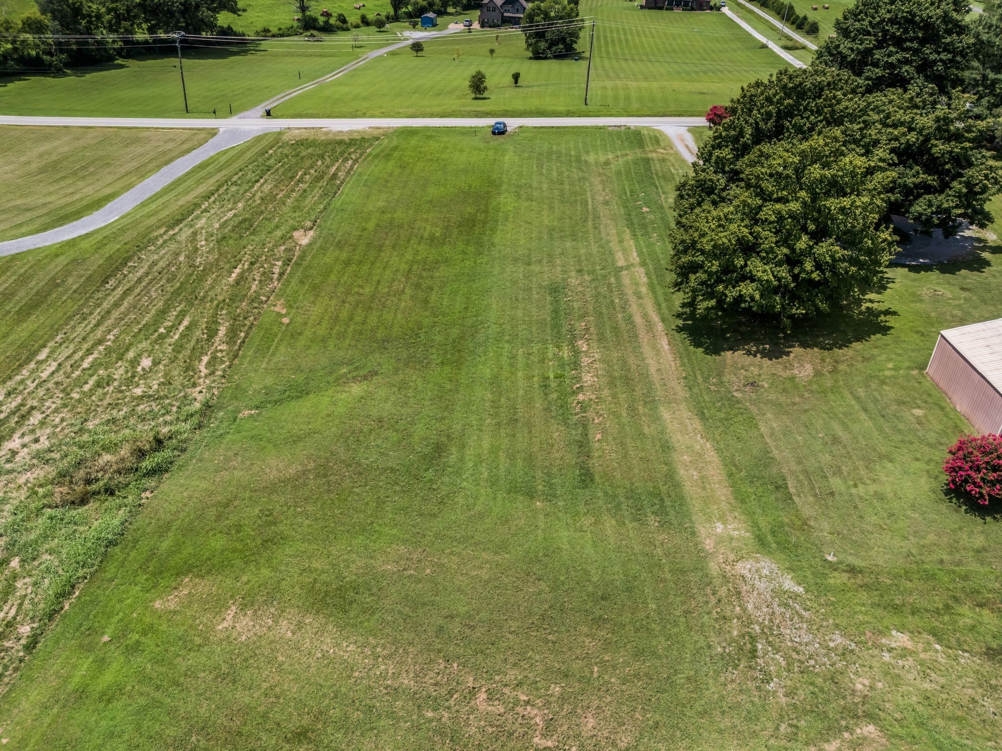 1295 Sugar Flat Road Lebanon, TN 37087 - Photo 15 of 30 a view of a garden