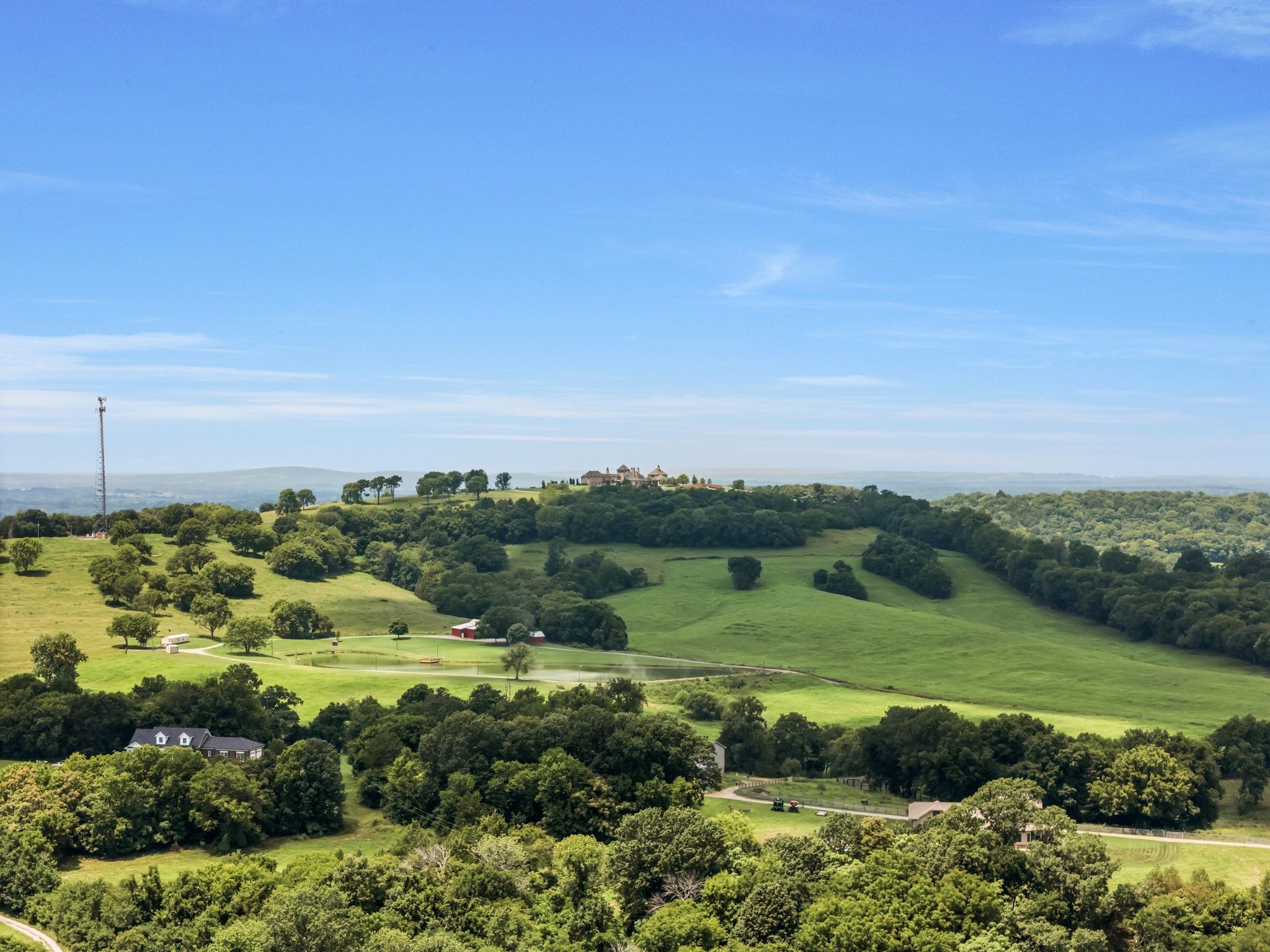 1295 Sugar Flat Road Lebanon, TN 37087 - Photo 16 of 30 a view of a lush green field with lots of green plants in it