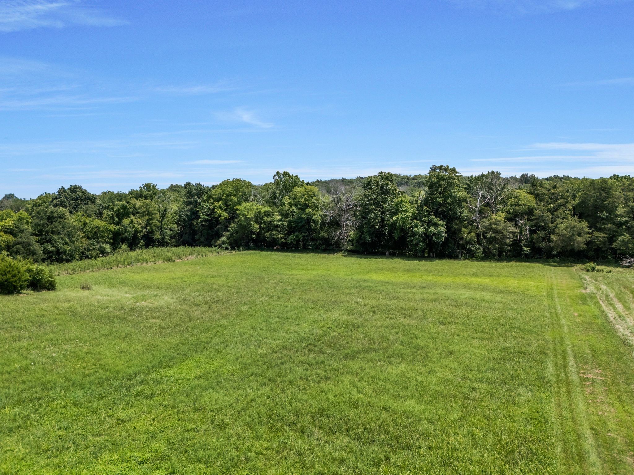 1295 Sugar Flat Road Lebanon, TN 37087 - Photo 18 of 30 a view of a field with a yard
