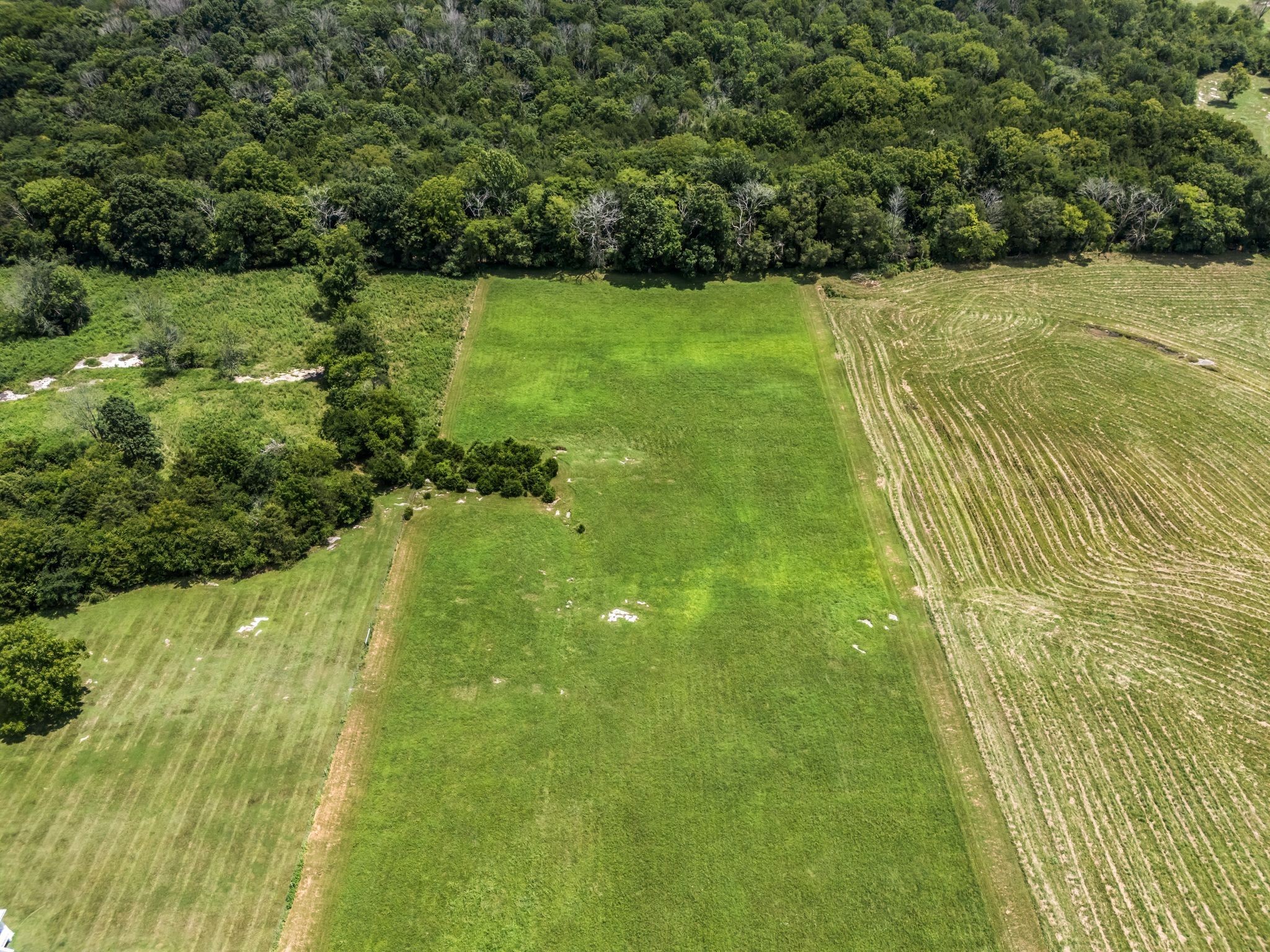 1295 Sugar Flat Road Lebanon, TN 37087 - Photo 24 of 30 a view of yard with green space
